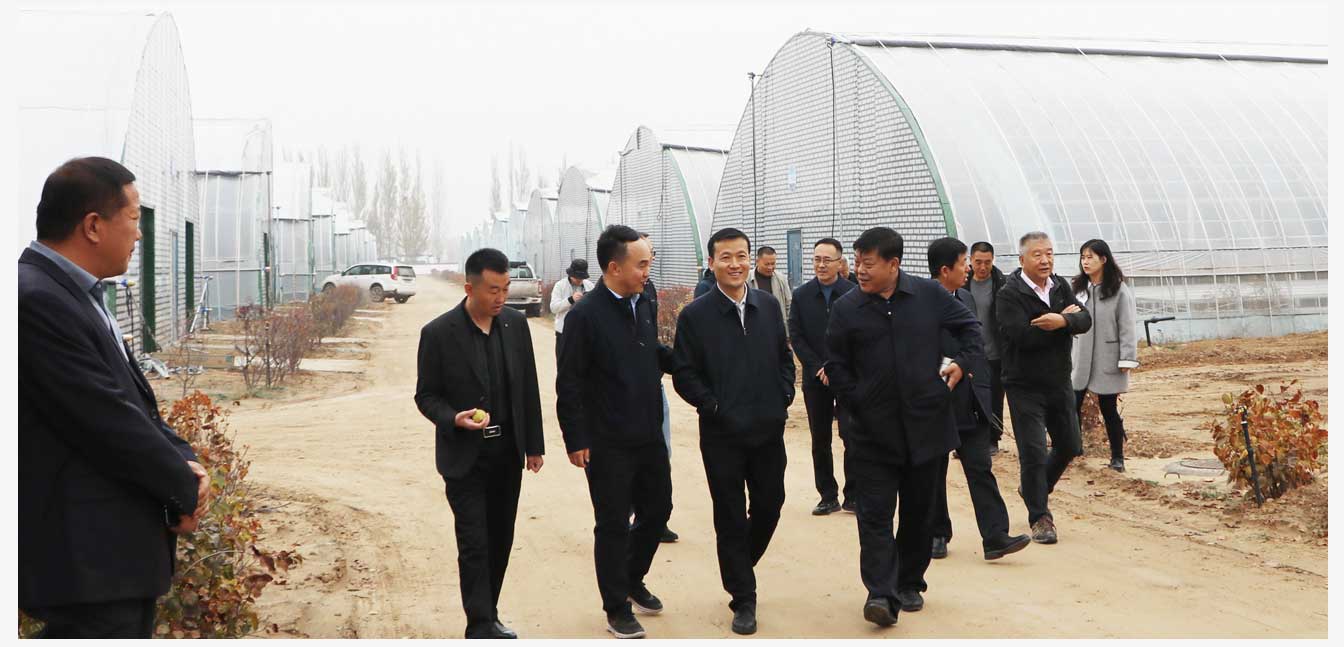 準格爾旗現代智慧設施農業產業園（網頁）_27.jpg