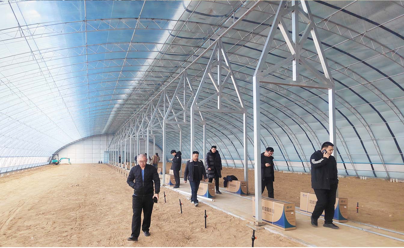 大路鎮(zhèn)苗家灘社區(qū)項目-智能溫室、日光溫室建設(shè)項目_09.jpg