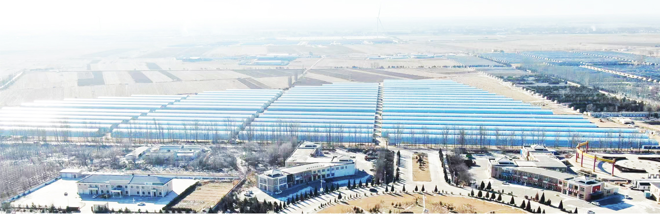 準格爾旗現(xiàn)代設施農(nóng)業(yè)科技轉(zhuǎn)化示范園_05.jpg