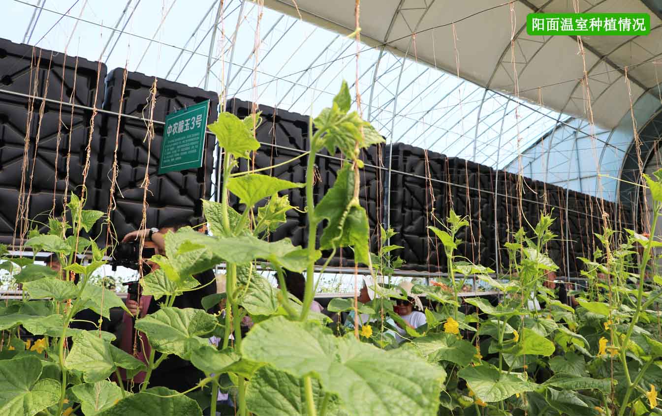 2、四季溫室網頁_12.jpg